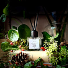 College Green Gingerbread reed diffuser in a heavy glass jar with three black reeds. Sitting on a pile of books surrounded by Autumnal greenery and pine cones.